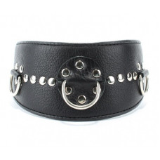Чёрный кожаный ошейник с полукольцами и клёпками Чёрный кожаный ошейник с полукольцами и клёпками