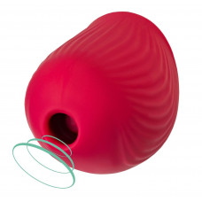 Красный вакуум-волновой стимулятор клитора Birdie Красный вакуум-волновой стимулятор клитора Birdie