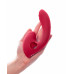 Красный вибратор с вакуум-волновым стимулятором клитора Grace Красный вибратор с вакуум-волновым стимулятором клитора Grace