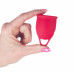 Набор из 2 красных менструальных чаш Iona Набор из 2 красных менструальных чаш Iona