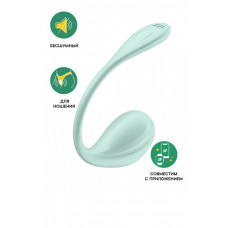 Виброяйцо Satisfyer Smooth Petal Connect App мятное 6,5 см Виброяйцо Satisfyer Smooth Petal Connect App мятное 6,5 см