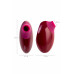 Вакуумный стимулятор клитора Toyfa Myrty бордовый 9,8 см Вакуумный стимулятор клитора Toyfa Myrty бордовый 9,8 см